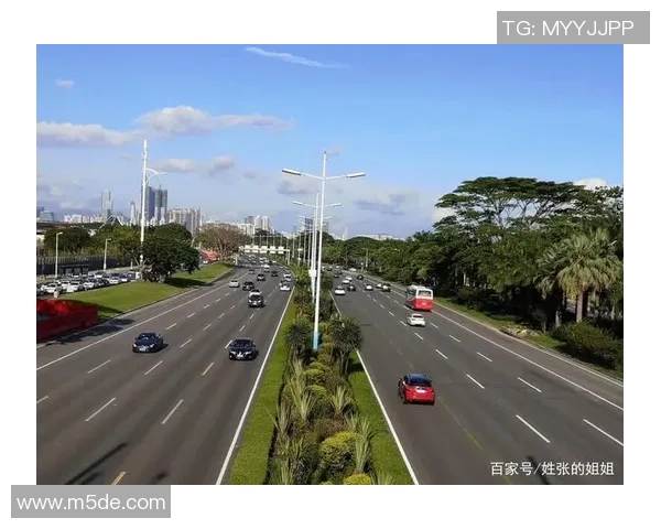 深度对话杨伟讲述他在排球场上的奋斗与成长故事 深度对话杨伟讲述他在排球场上的奋斗与成长故事