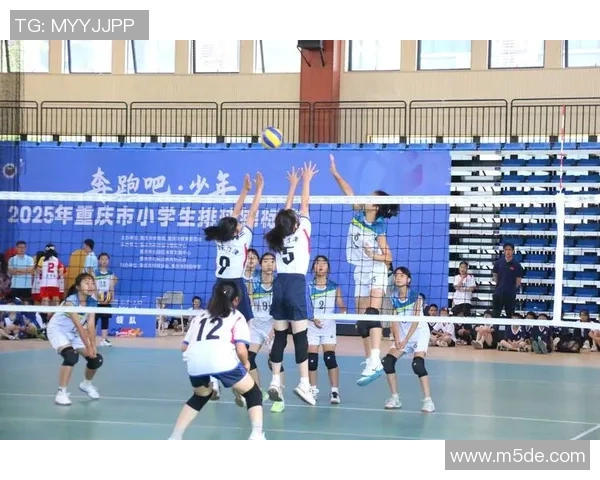 重庆排球队荣登排球个人能力排行榜首位引领全国水平提升