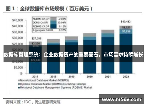 数据库管理系统：企业数据资产的重要基石，市场需求持续增长