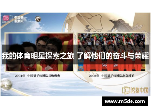 我的体育明星探索之旅 了解他们的奋斗与荣耀