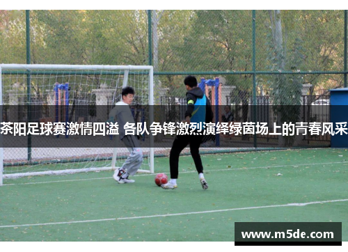 茶阳足球赛激情四溢 各队争锋激烈演绎绿茵场上的青春风采