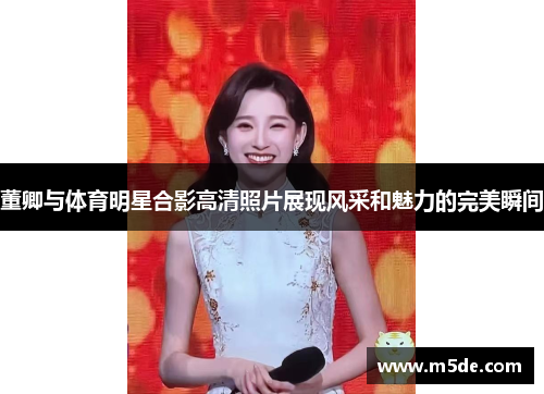 董卿与体育明星合影高清照片展现风采和魅力的完美瞬间